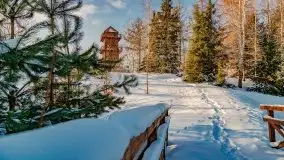 Stare Juchy w zimowej aurze, luty 2021 r. - zdjęcie 47