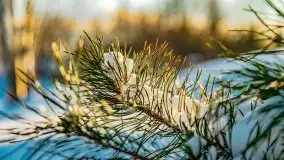 Stare Juchy w zimowej aurze, luty 2021 r. - zdjęcie 61