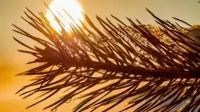 Stare Juchy w zimowej aurze, luty 2021 r. - zdjęcie 66