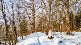 Śluza w Leśniewie Górnym w zimowej szacie, luty 2021 - zdjęcie 60