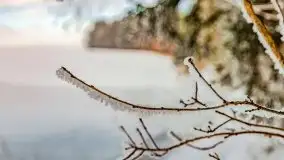 Jezioro Ślepieniec skąpane w zimowej bieli, luty 2021 - zdjęcie 12