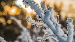 Jezioro Ślepieniec skąpane w zimowej bieli, luty 2021 - zdjęcie 2