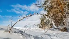 Jezioro Ślepieniec skąpane w zimowej bieli, luty 2021 - zdjęcie 9