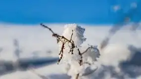 Jezioro Ślepieniec skąpane w zimowej bieli, luty 2021 - zdjęcie 47