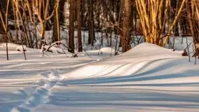 Jezioro Ślepieniec skąpane w zimowej bieli, luty 2021 - zdjęcie 24