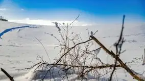 Jezioro Ślepieniec skąpane w zimowej bieli, luty 2021 - zdjęcie 42