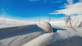 Jezioro Ślepieniec skąpane w zimowej bieli, luty 2021 - zdjęcie 33