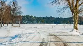 Jezioro Ślepieniec skąpane w zimowej bieli, luty 2021 - zdjęcie 50