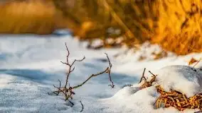 Zachód słońca nad jeziorem Niegocin, luty 2021 - zdjęcie 9