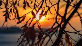 Zachód słońca nad jeziorem Niegocin, luty 2021 - zdjęcie 50