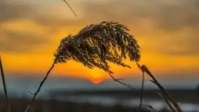 Zachód słońca nad jeziorem Niegocin, luty 2021 - zdjęcie 54