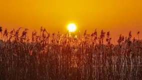 Zima i zachód słońca w porcie Tło Dla Mew - zdjęcie 19