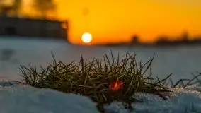 Zima i zachód słońca w porcie Tło Dla Mew - zdjęcie 22