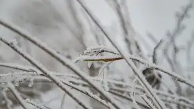 Poranne i zimowe mgły w okolicach Kruklanek - zdjęcie 6
