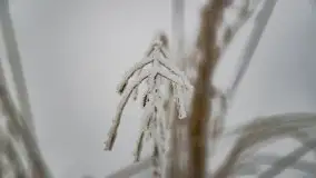 Poranne i zimowe mgły w okolicach Kruklanek - zdjęcie 13