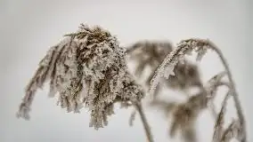 Poranne i zimowe mgły w okolicach Kruklanek - zdjęcie 20