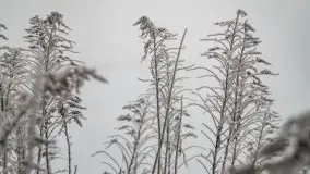 Poranne i zimowe mgły w okolicach Kruklanek - zdjęcie 7