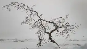 Poranne i zimowe mgły w okolicach Kruklanek - zdjęcie 23