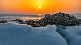 Zimowy zachód słońca nad jeziorem Śniardwy - zdjęcie 10