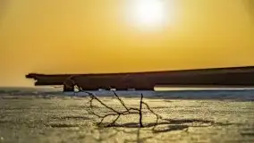 Zimowe Śniardwy i Okartowo, luty 2021 r. - zdjęcie 25