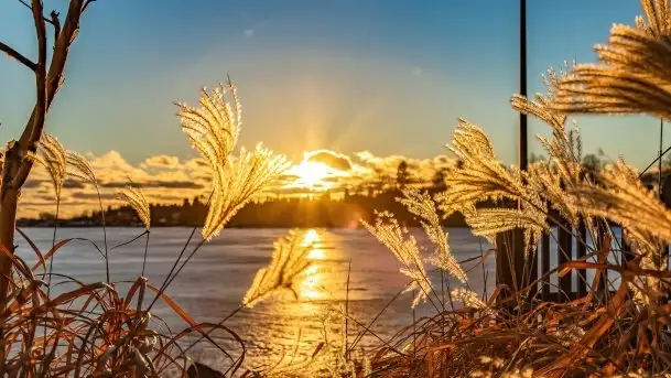 Zimowy wieczór i zachód słońca w Rynie, luty 2021