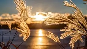 Zimowy wieczór i zachód słońca w Rynie, luty 2021 - zdjęcie 27