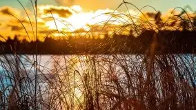 Zimowy wieczór i zachód słońca w Rynie, luty 2021 - zdjęcie 44