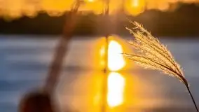 Zimowy wieczór i zachód słońca w Rynie, luty 2021 - zdjęcie 47