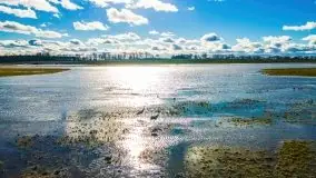 Szukamy wiosny - znajdujemy pierwsze oznaki - zdjęcie 21