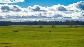 Szukamy wiosny - znajdujemy pierwsze oznaki - zdjęcie 44