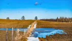 Szukamy wiosny - znajdujemy pierwsze oznaki - zdjęcie 46