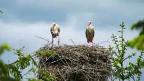 Jak nasz region widzą obcokrajowcy? - zobacz zdjęcia Johna Whelana - zdjęcie 9