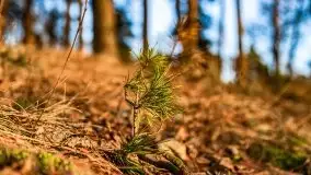 Przedwiosenny zachód słońca nad jeziorem Gołdopiwo i Żabiniec - zdjęcie 60