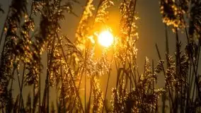 Marcowy zachód słońca nad jeziorem Dejguny - zdjęcie 3