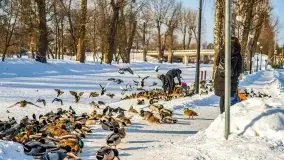 Zimowe Giżycko, luty 2021 - zdjęcie 3