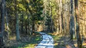 Przedwiośnie w lasach przy Wilkasach, marzec 2021 - zdjęcie 11