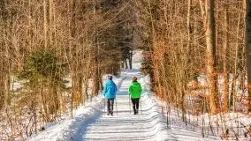 Las miejski w Giżycku, zimowa odsłona, luty 2021 r. - zdjęcie 1