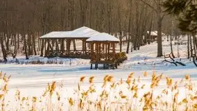 Las miejski w Giżycku, zimowa odsłona, luty 2021 r. - zdjęcie 31