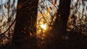 Marcowy zachód słońca nad jeziorem Kisajno - zdjęcie 32