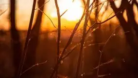 Marcowy zachód słońca nad jeziorem Kisajno - zdjęcie 9