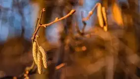 Marcowy zachód słońca nad jeziorem Kisajno - zdjęcie 14