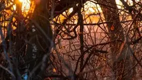 Marcowy zachód słońca nad jeziorem Kisajno - zdjęcie 24