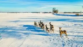 Mazury u progu wiosny, ujęcia z różnych miejsc - zdjęcie 45