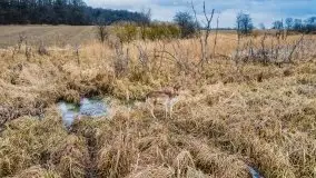 Mazury u progu wiosny, ujęcia z różnych miejsc - zdjęcie 24