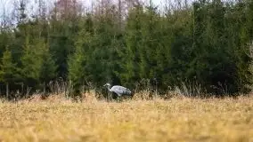 Mazury u progu wiosny, ujęcia z różnych miejsc - zdjęcie 20