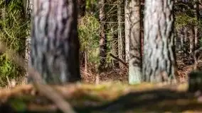 Mazury u progu wiosny, ujęcia z różnych miejsc - zdjęcie 28