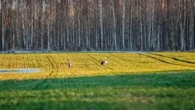 Mazury u progu wiosny, ujęcia z różnych miejsc - zdjęcie 44