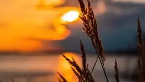 Jeszcze więcej magii Mazur - zachód nad jeziorem Święcajty - zdjęcie 24