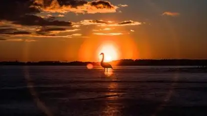 Miłośnicy Mazur - przedwiośnie na zdjęciach Staszka Sielewicza