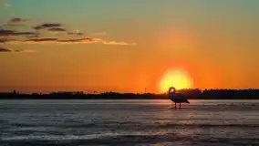 Miłośnicy Mazur - przedwiośnie na zdjęciach Staszka Sielewicza - zdjęcie 16